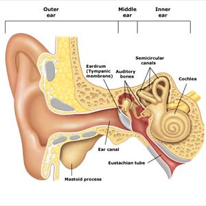 New Tinnitus Treatments - Things That Can Make You Get Sudden Ear Ringing